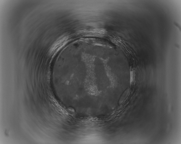 X0000100970243200806241558