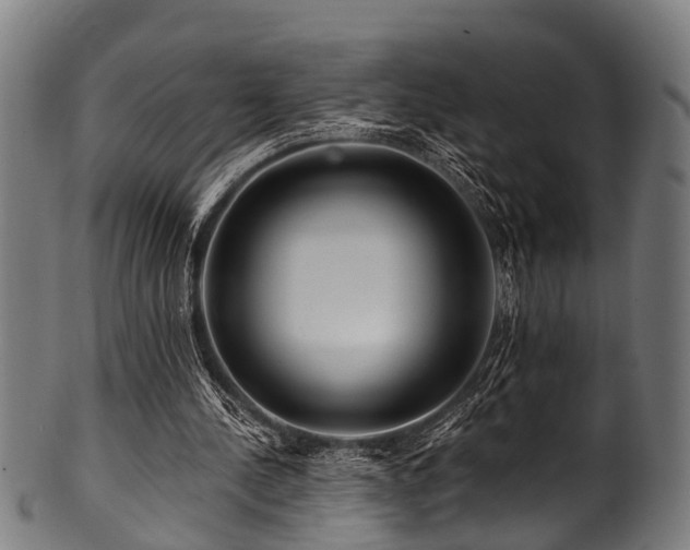 X0000100970244200806241558