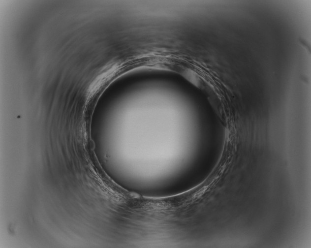X0000100970245200806241558