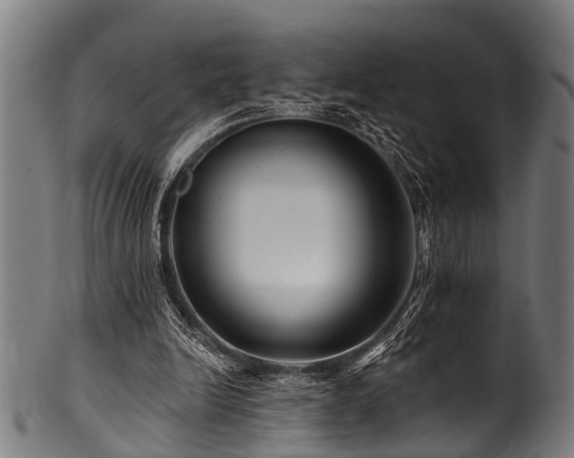 X0000100970246200806241558