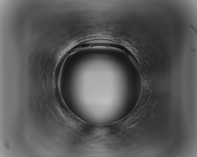 X0000100970248200806241558
