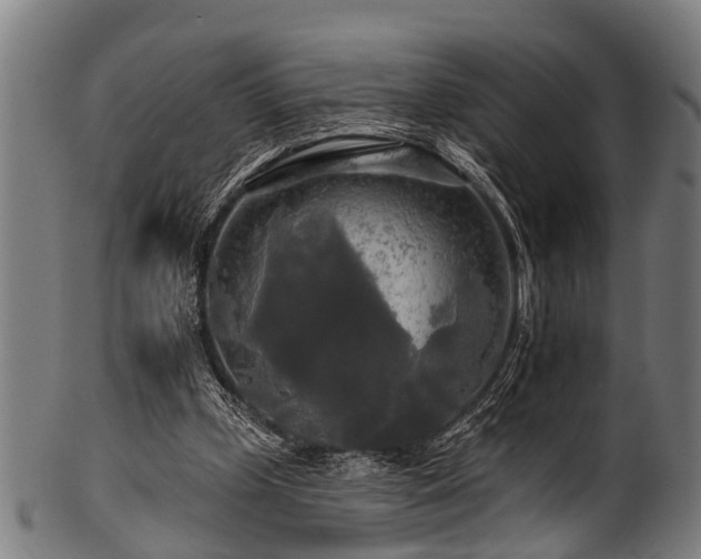 X0000100970249200806241558