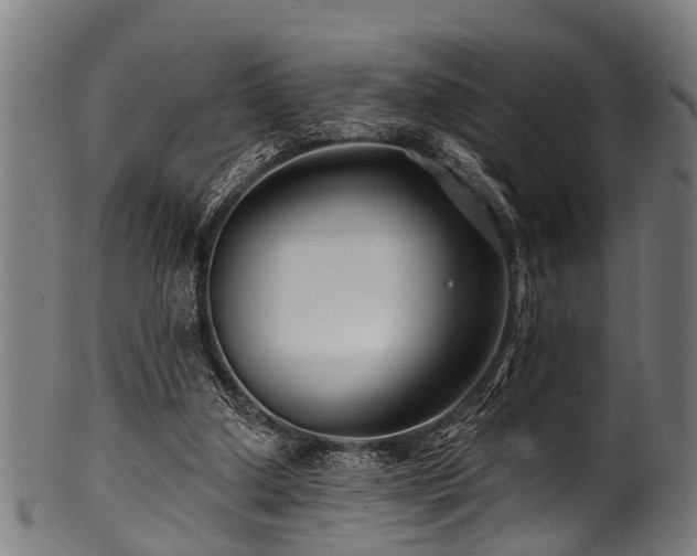 X0000100970250200806241558