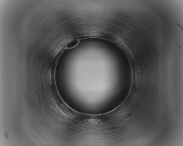 X0000100970251200806241558