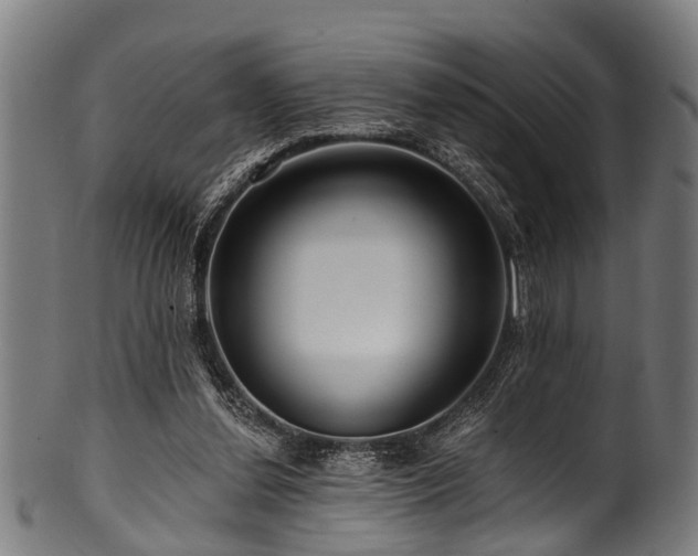 X0000100970252200806241558