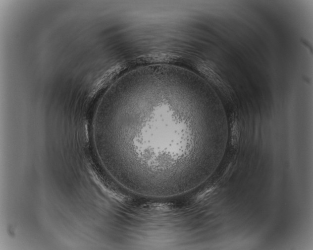X0000100970254200806241558