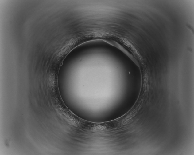 X0000100970257200806241558
