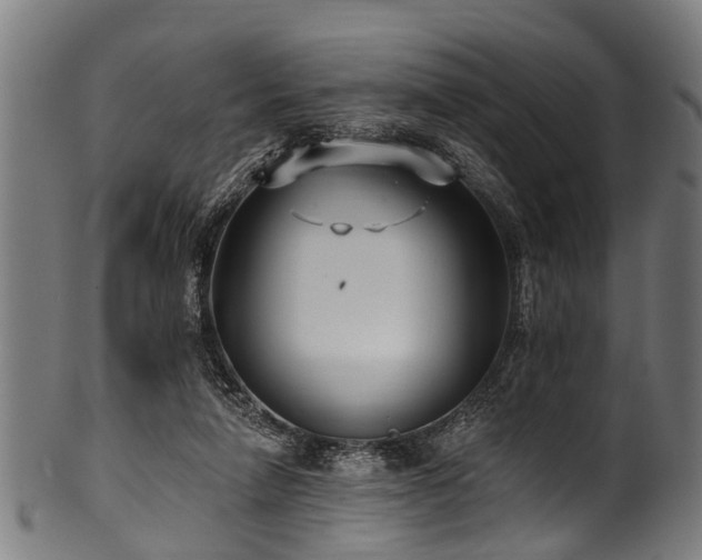 X0000100970258200806241558