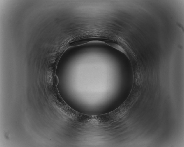 X0000100970259200806241558
