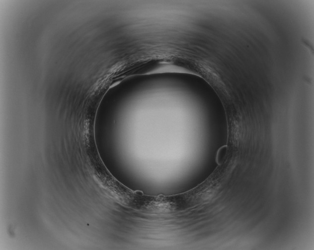 X0000100970260200806241558