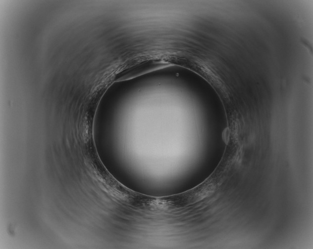 X0000100970261200806241558