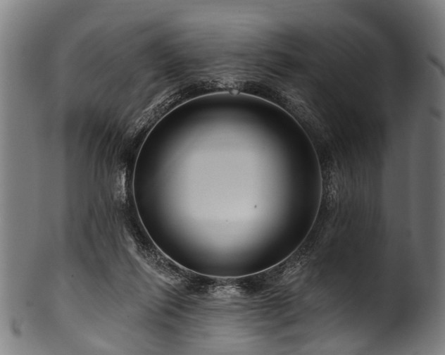 X0000100970262200806241558
