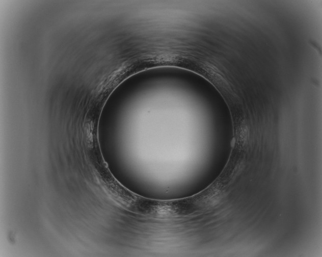 X0000100970264200806241558