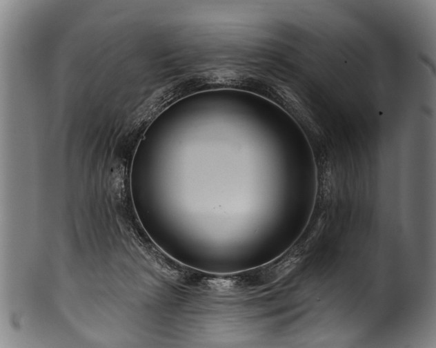 X0000100970265200806241558