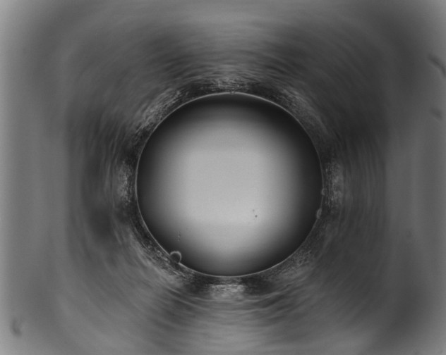X0000100970266200806241558