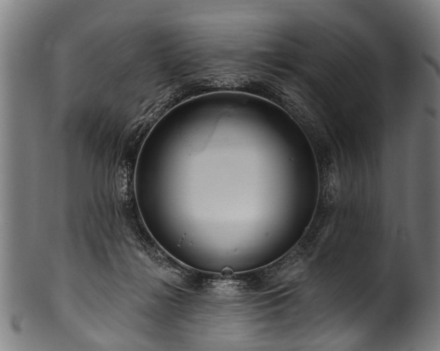 X0000100970268200806241558