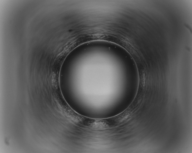 X0000100970270200806241558