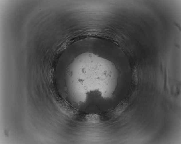 X0000100970271200806241558