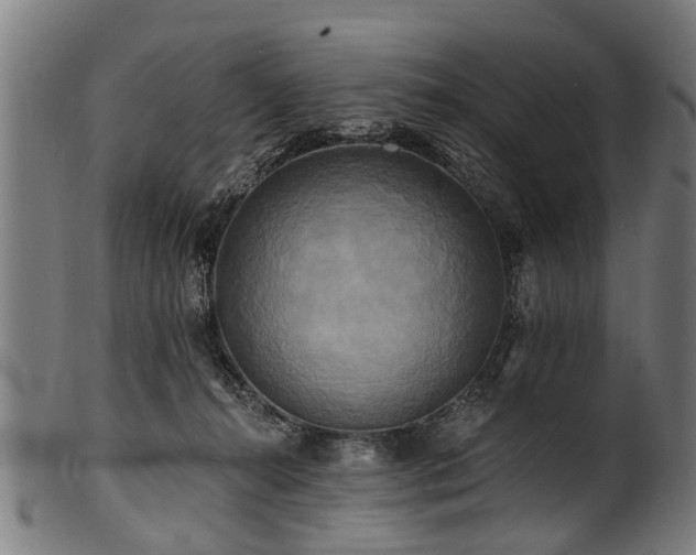 X0000100970272200806241558