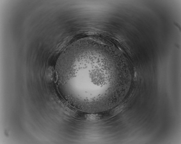 X0000100970273200806241558