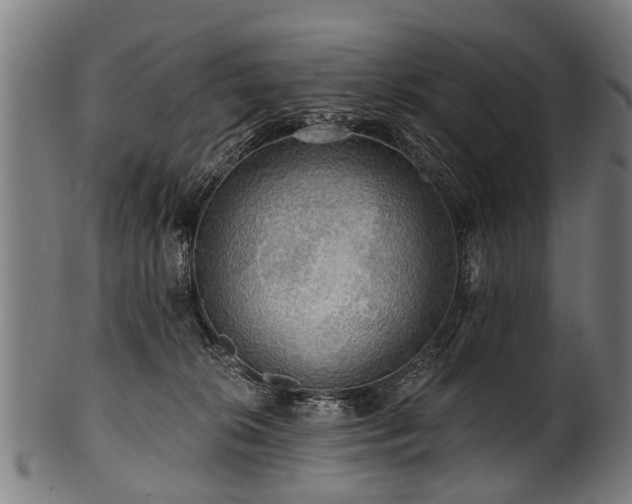 X0000100970276200806241558