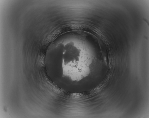 X0000100970277200806241558