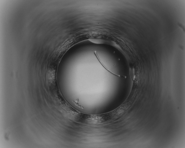 X0000100970278200806241558