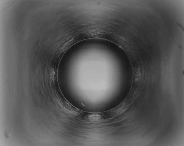 X0000100970279200806241558
