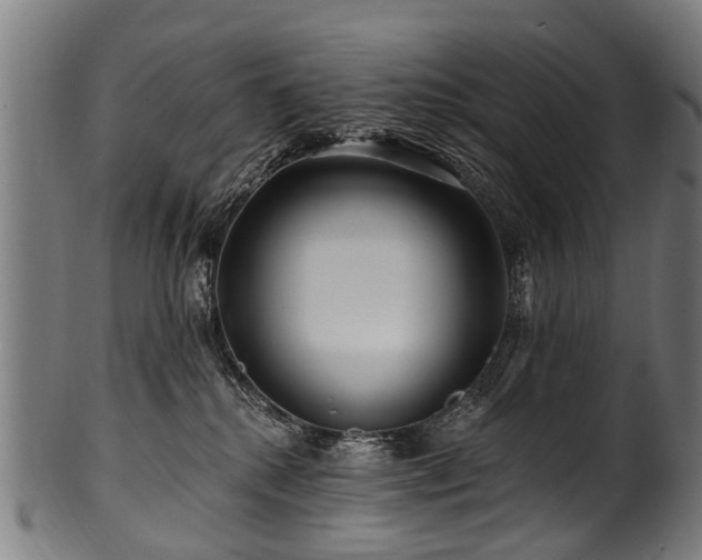 X0000100970280200806241558