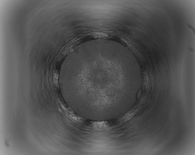 X0000100970281200806241558