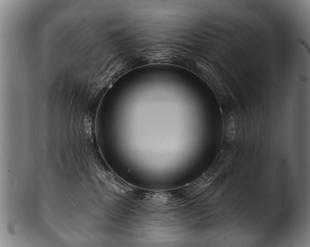 X0000100970282200806241558