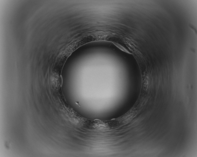 X0000100970283200806241558