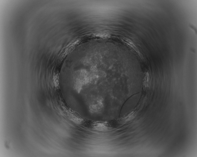 X0000100970285200806241558