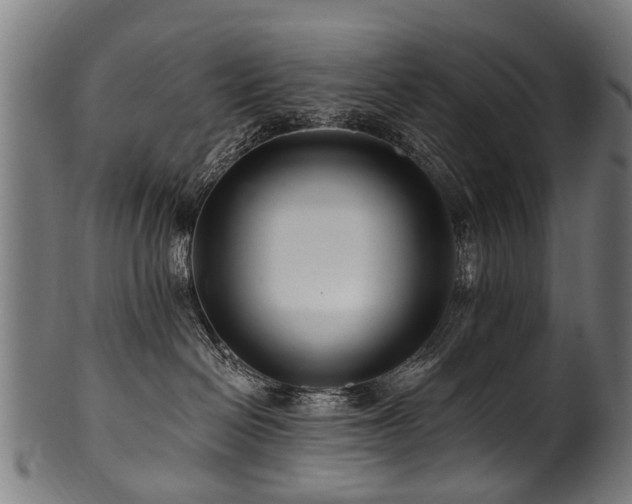 X0000100970286200806241558