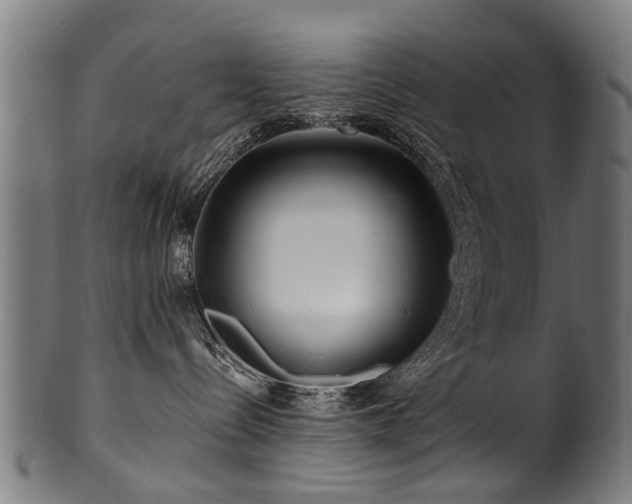 X0000100970288200806241558