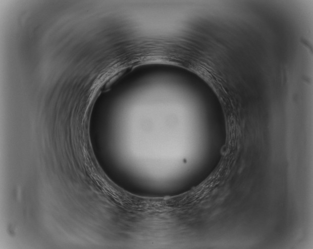 X0000100970289200806241558