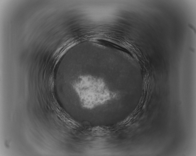X0000100970290200806241558