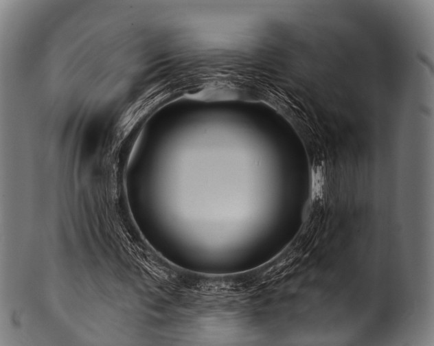 X0000100970291200806241558