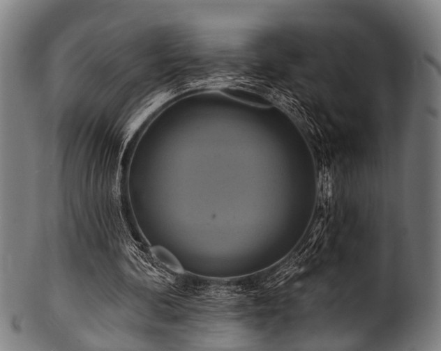 X0000100970292200806241557