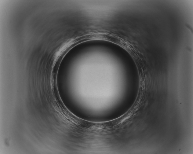 X0000100970294200806241557
