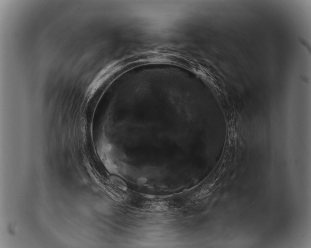 X0000100970295200806241557