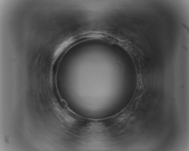 X0000100970296200806241557
