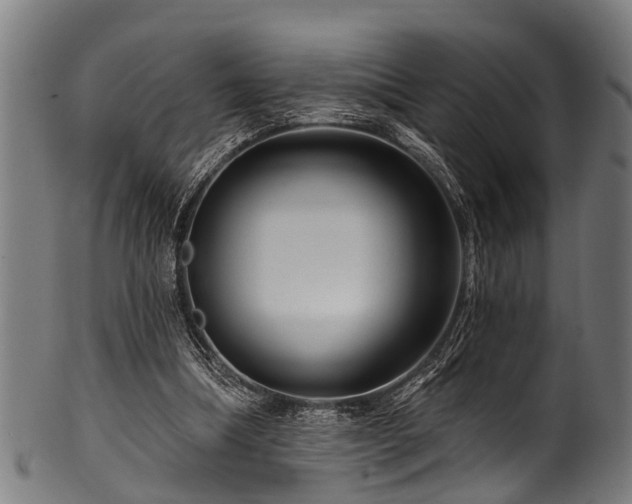 X0000100970298200806241557