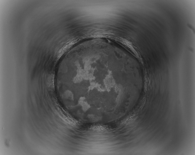 X0000100970299200806241557