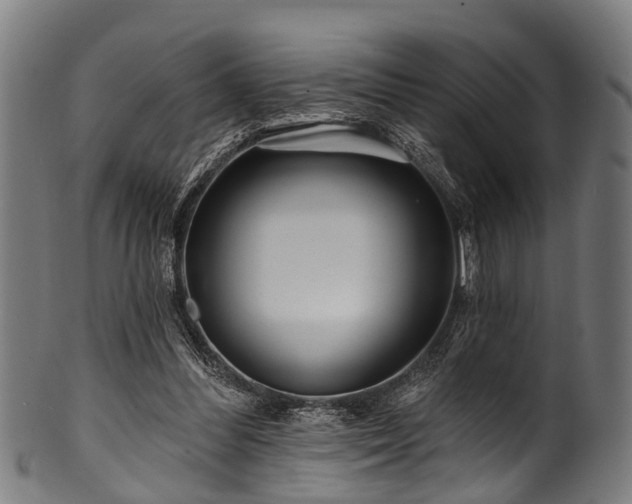 X0000100970300200806241557