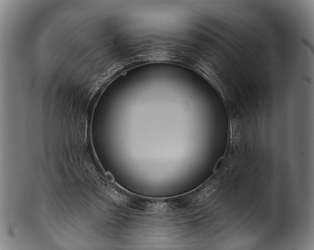 X0000100970301200806241557
