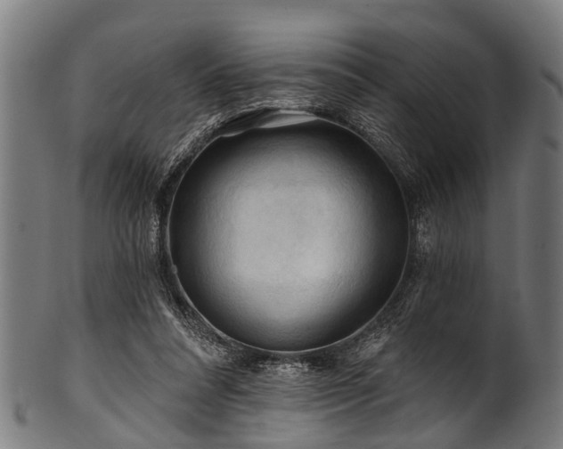 X0000100970304200806241557
