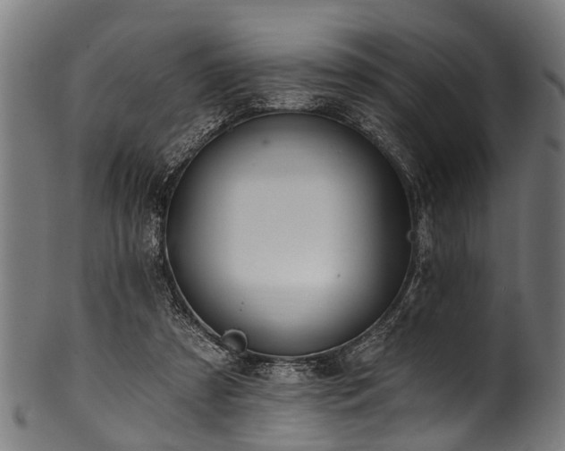 X0000100970305200806241557