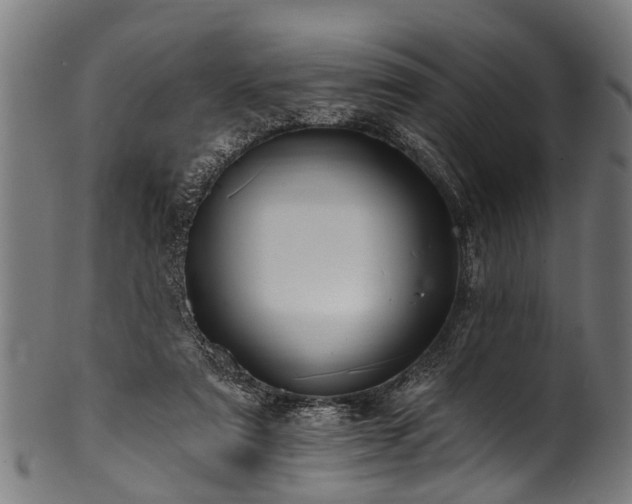 X0000100970307200806241557