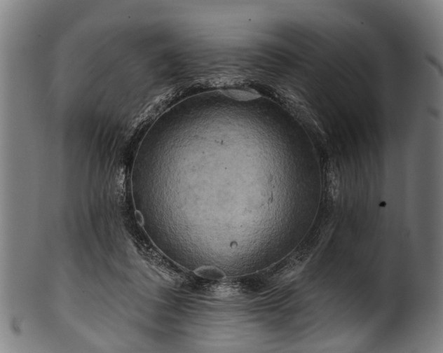 X0000100970308200806241557
